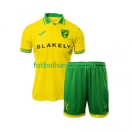 Matchtröjor Norwich City 2025-2026 Kortärmad till Barn (1:a ställ)