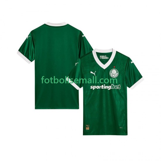 Matchtröjor Palmeiras 2025-2026 Kortärmad till Herr (1:a ställ)