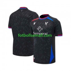 Matchtröjor Crystal Palace 2026-2027 Kortärmad till Herr (2:a ställ) Matchtröjor Crystal Palace 2026-2027 Kortärmad till Herr (2:a ställ)