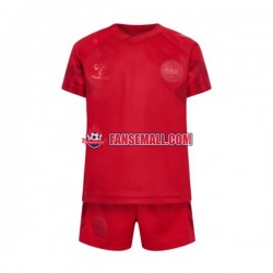 Matchtröjor Danmark World Cup 2022 Kortärmad till Barn (1:a ställ) Matchtröjor Danmark World Cup 2022 Kortärmad till Barn (1:a ställ)