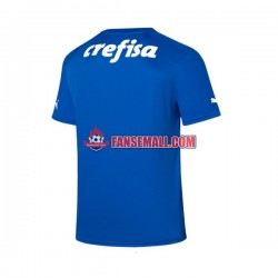 Matchtröjor Palmeiras Målvaktströja 2023-2024 Kortärmad till Herr (1:a ställ)