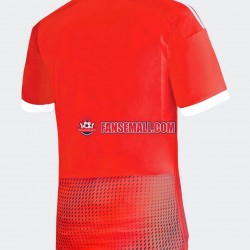 Matchtröjor Peru 2023 Kortärmad till Herr (2:a ställ)