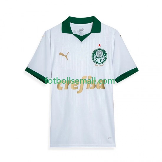 Matchtröjor Palmeiras 2024 Kortärmad till Herr (2:a ställ)
