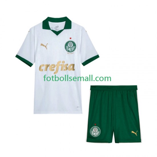 Matchtröjor Palmeiras 2024 Kortärmad till Barn (2:a ställ)