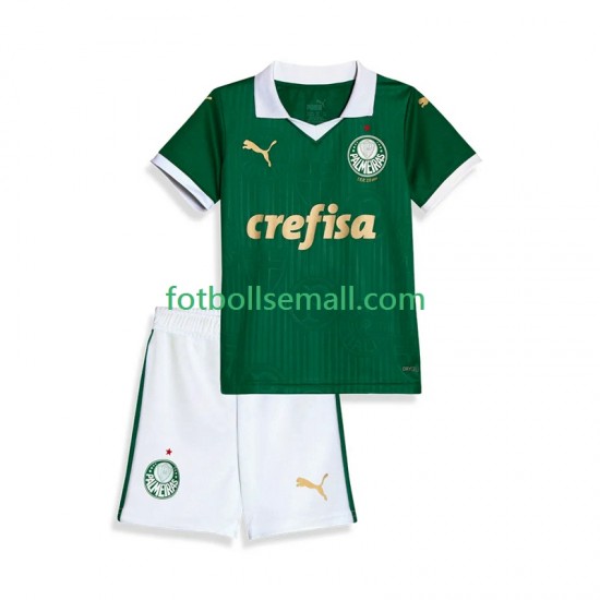 Matchtröjor Palmeiras 2024 Kortärmad till Barn (1:a ställ)