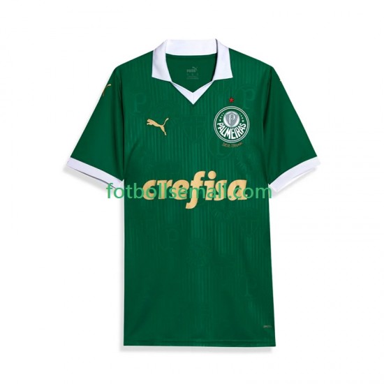 Matchtröjor Palmeiras 2024 Kortärmad till Herr (1:a ställ)