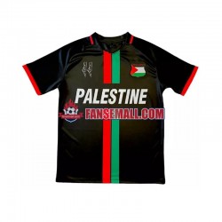 Matchtröjor Club Deportivo Palestino Center Stripre 2024-2025 Kortärmad till Herr (1:a ställ)