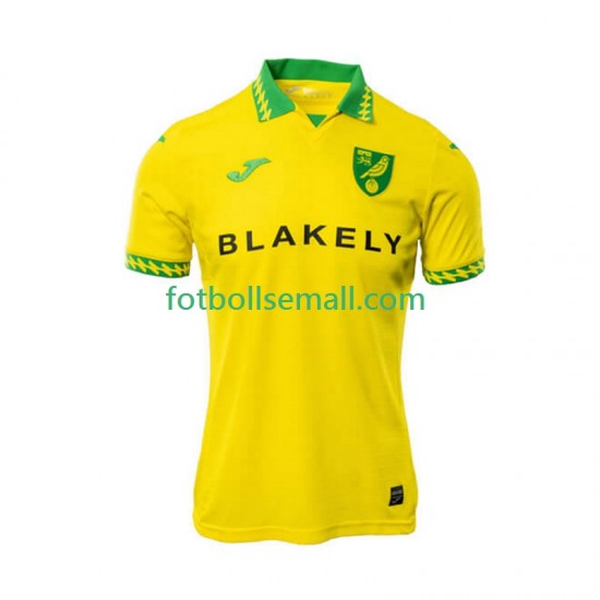 Matchtröjor Norwich City 2025-2026 Kortärmad till Herr (1:a ställ)