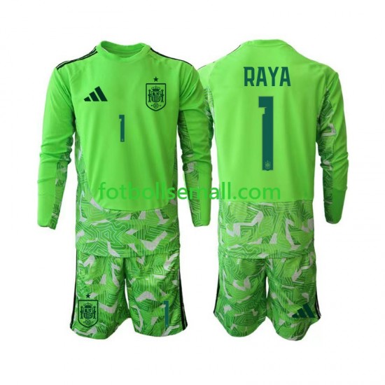Matchtröjor Spanien Målvaktströja David Raya 1 6th Green color World Cup 2026 Långärmad till Barn