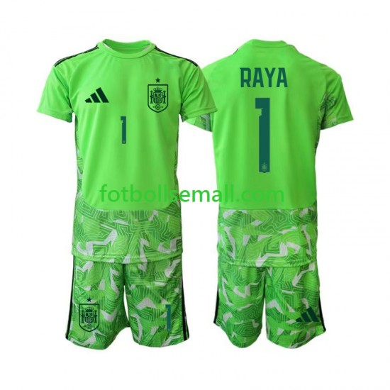 Matchtröjor Spanien Målvaktströja David Raya 1 6th Green color World Cup 2026 Kortärmad till Barn