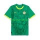 Matchtröjor Senegal 2025 Kortärmad till Herr (2:a ställ)